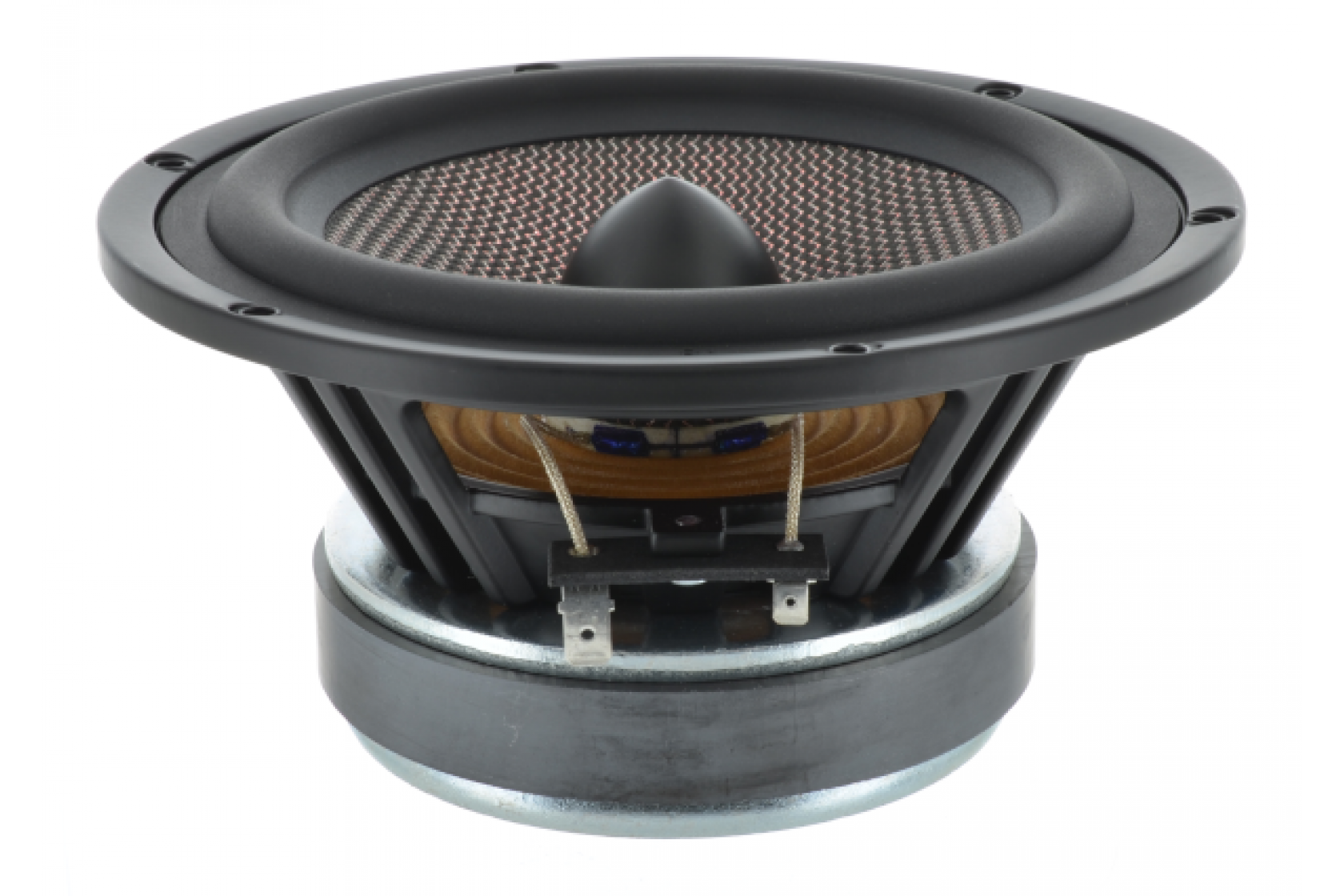Bold North Audio BWF-6503