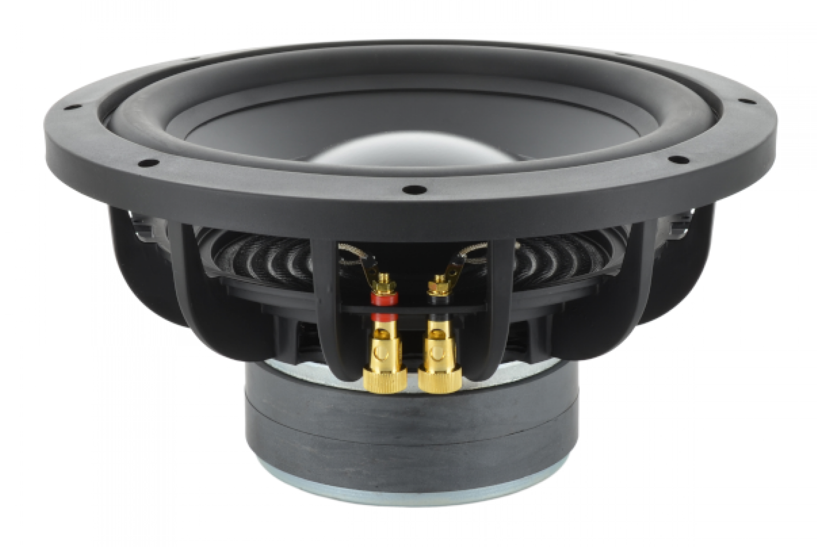 Bold North Audio BWF-1001