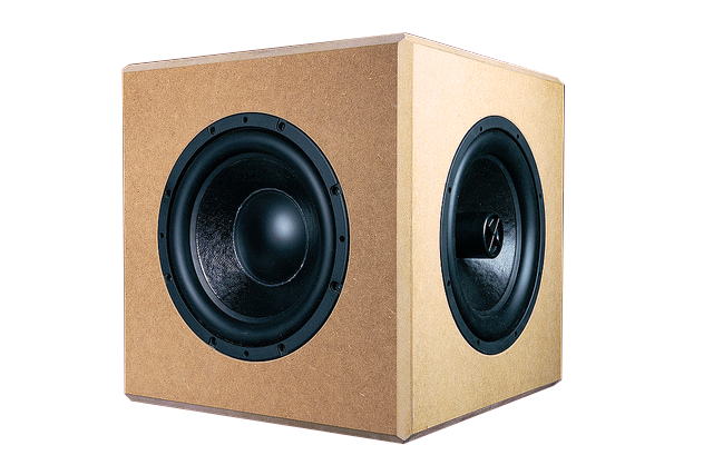 CSS SDX12 2 PR-Kit Subwoofer-Bausatz